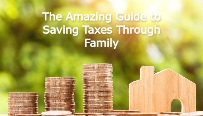 The Amazing Guide to Saving Taxes Through Family 2023